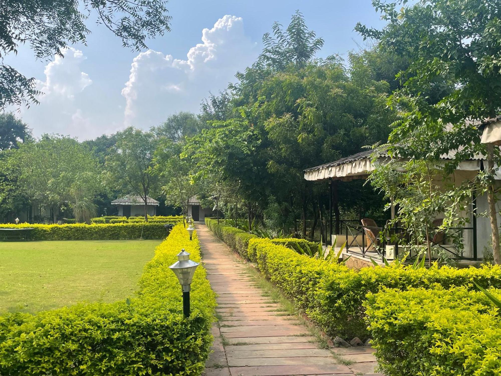 Sariska Tiger Heaven Hotel Akbarpur  Bagian luar foto